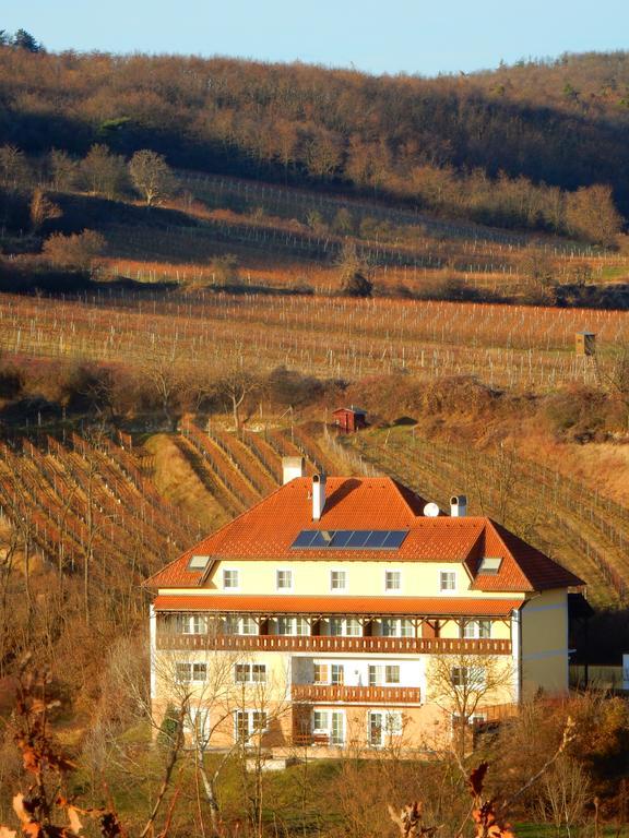Pension Rudi - Weingut Kellner Otel Pulkau Dış mekan fotoğraf